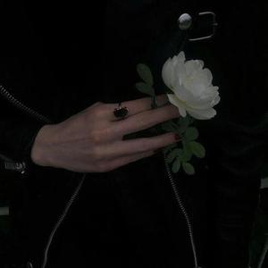 国产成人精彩在线视频50
